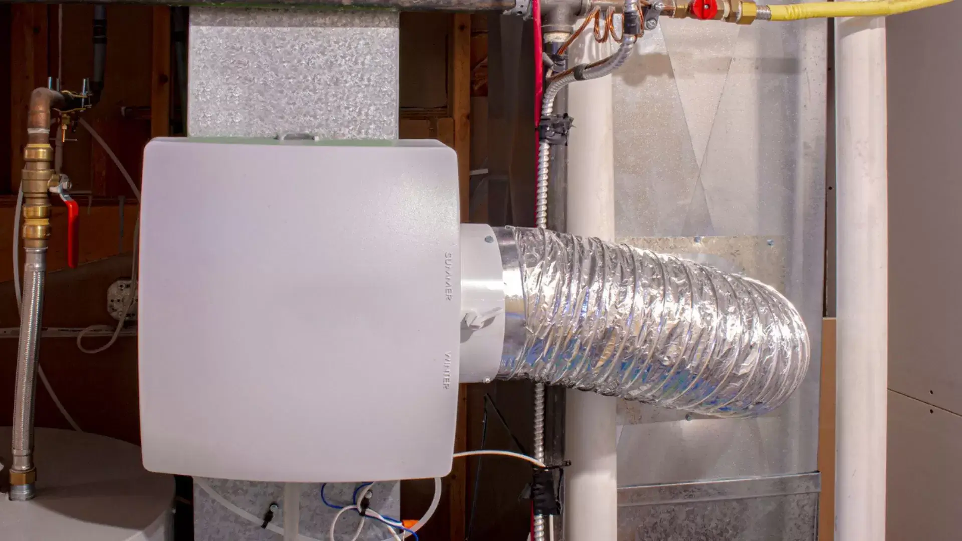 Choosing the Right Humidifier for Your Needs